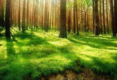 76 人核心恩比德确认遭遇轻微足底筋膜炎，官方预计明日 G5 出战状态仍为“存疑”。