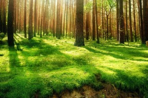 76 人核心恩比德确认遭遇轻微足底筋膜炎，官方预计明日 G5 出战状态仍为“存疑”。